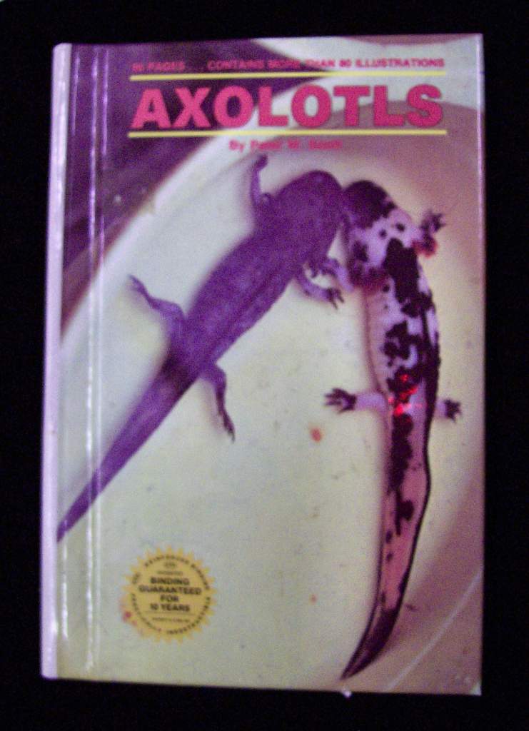 axolotl book