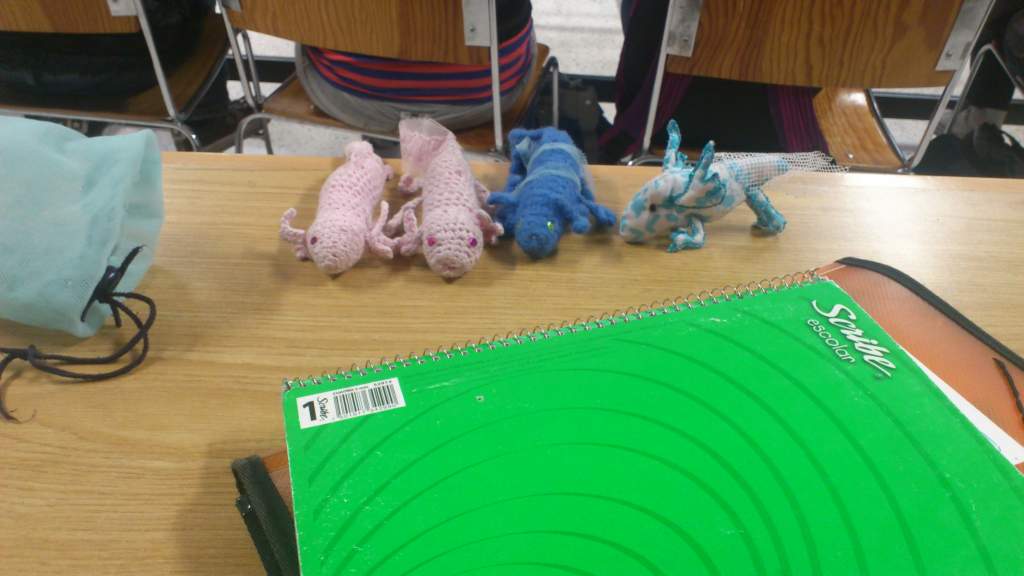 axolotls in the classsroom