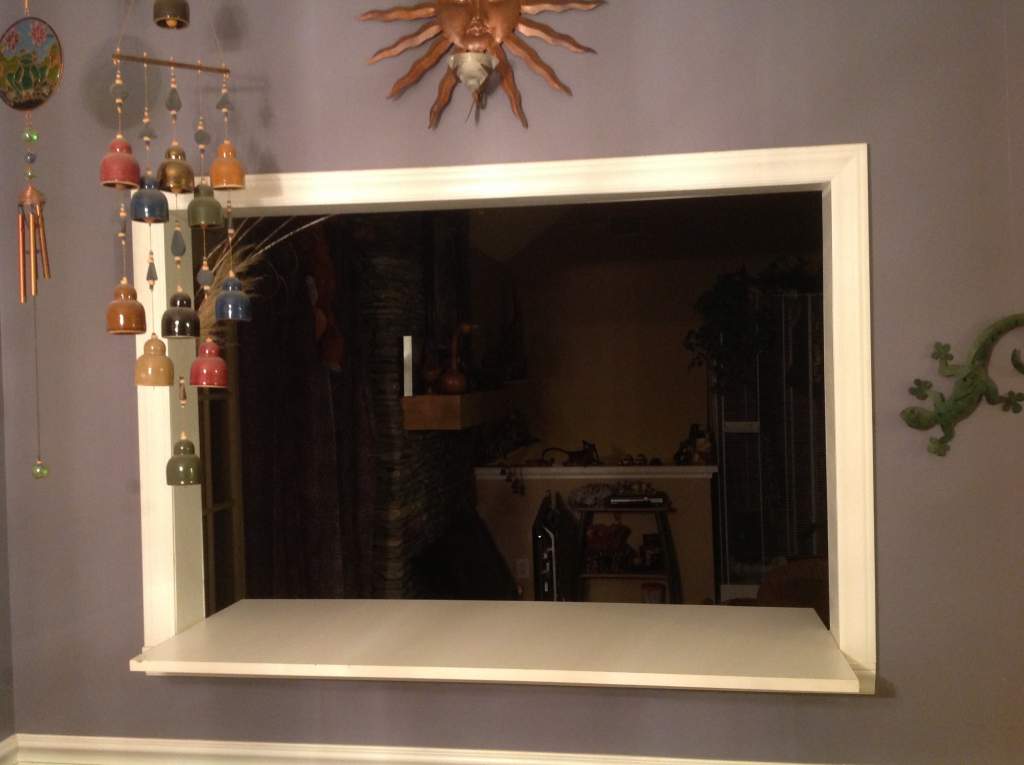 Axolotls own space available for lease...