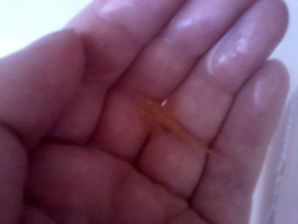 Baby Golden! {still in water of course} One Of My Gorgeous Little Babys!
