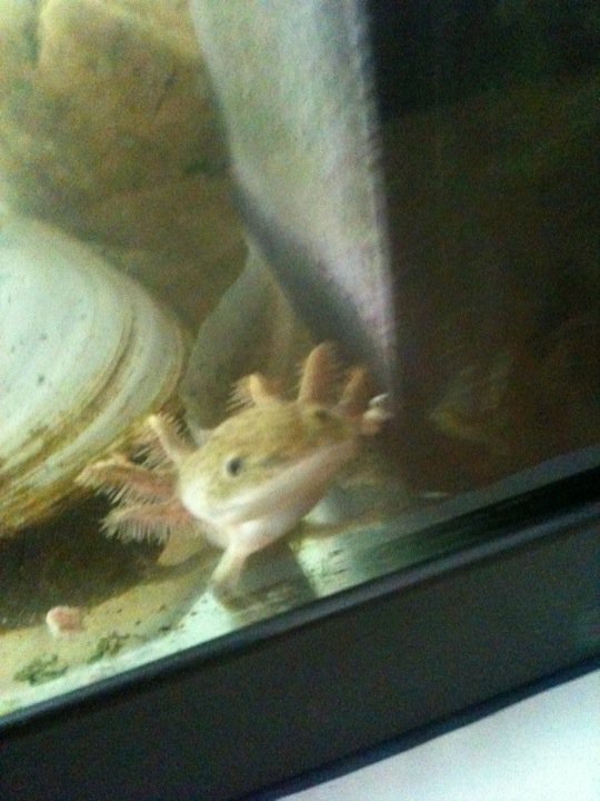 baby steve - first day he arrived