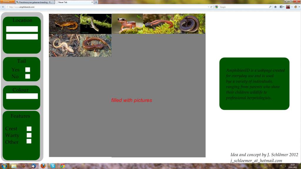 Basic website design