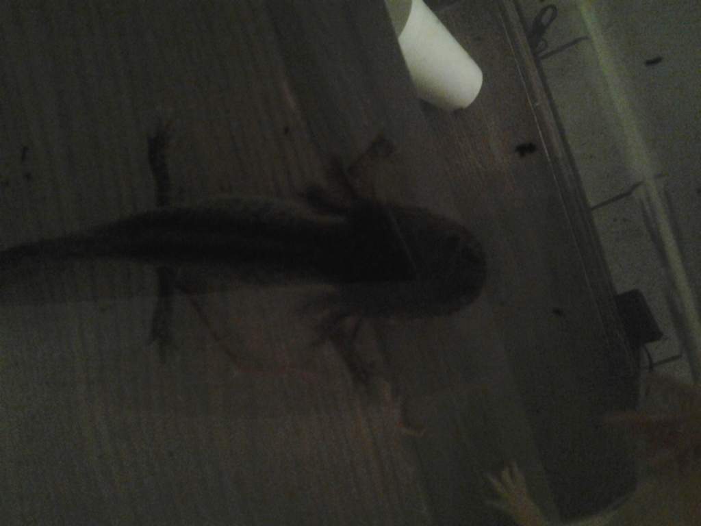 Begging for food :)
