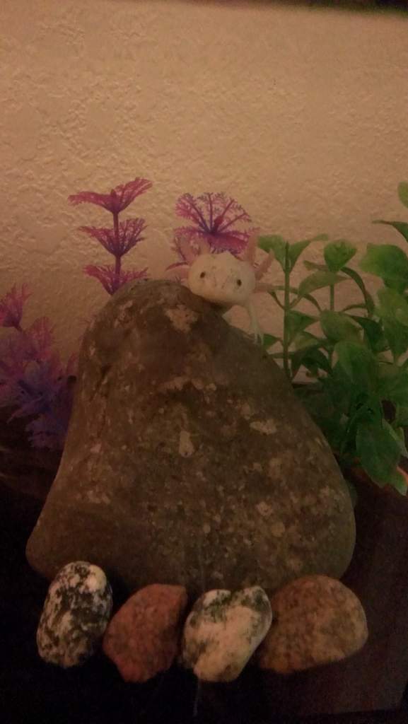 Being the cutest creeper around!