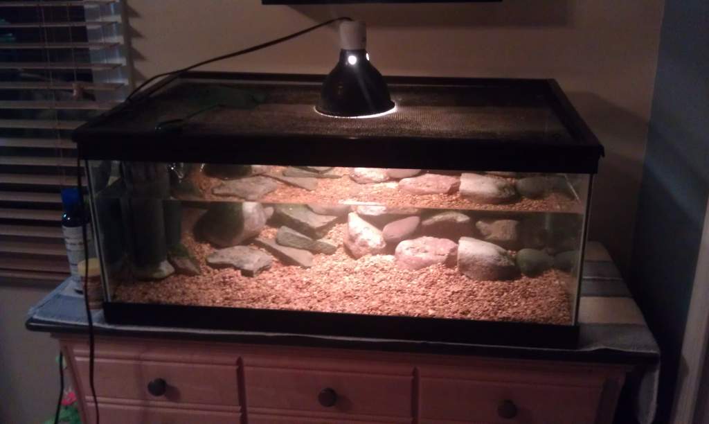 Better view of new set-up