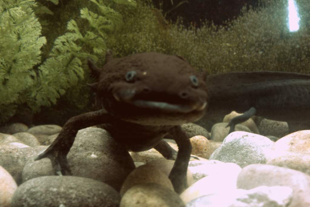 Big smile :)