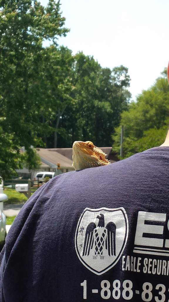 Bink outside enjoying the sun.