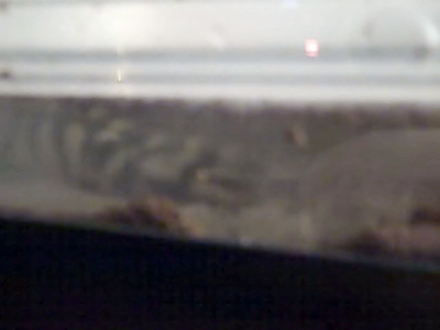 Blurry, but you can see him enjoying himself in there.