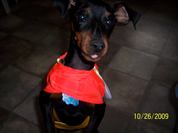 buster