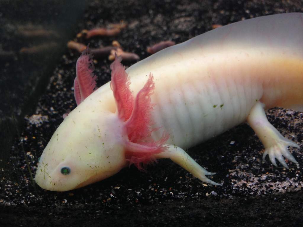 Can you believe this is little Mac?