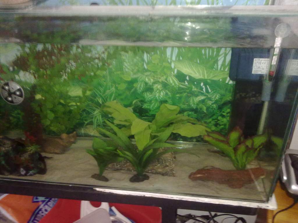 Can you spot her?