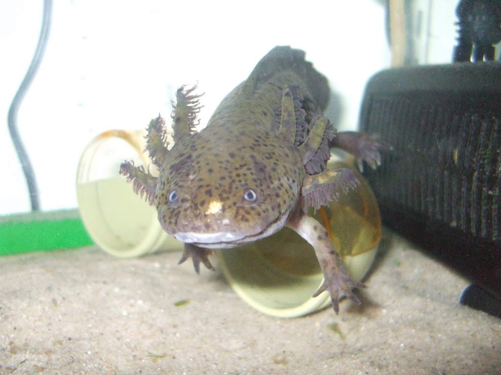 Canaq, say "cheese!"
10/07/11