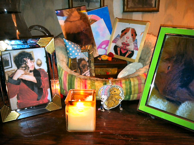 Cannoli's memorial