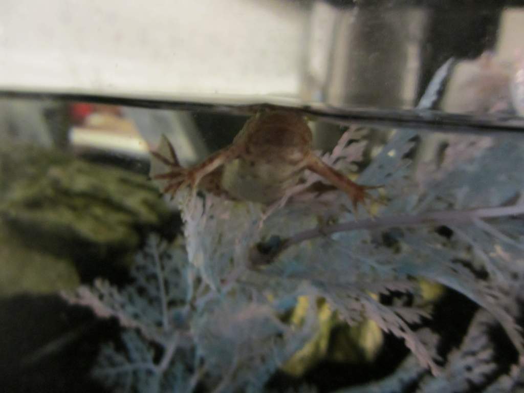 "can't you see i want food!" hehehe i just love that picture :P