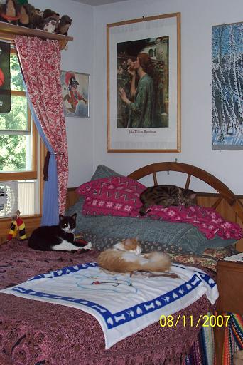 Cats in Guest Room