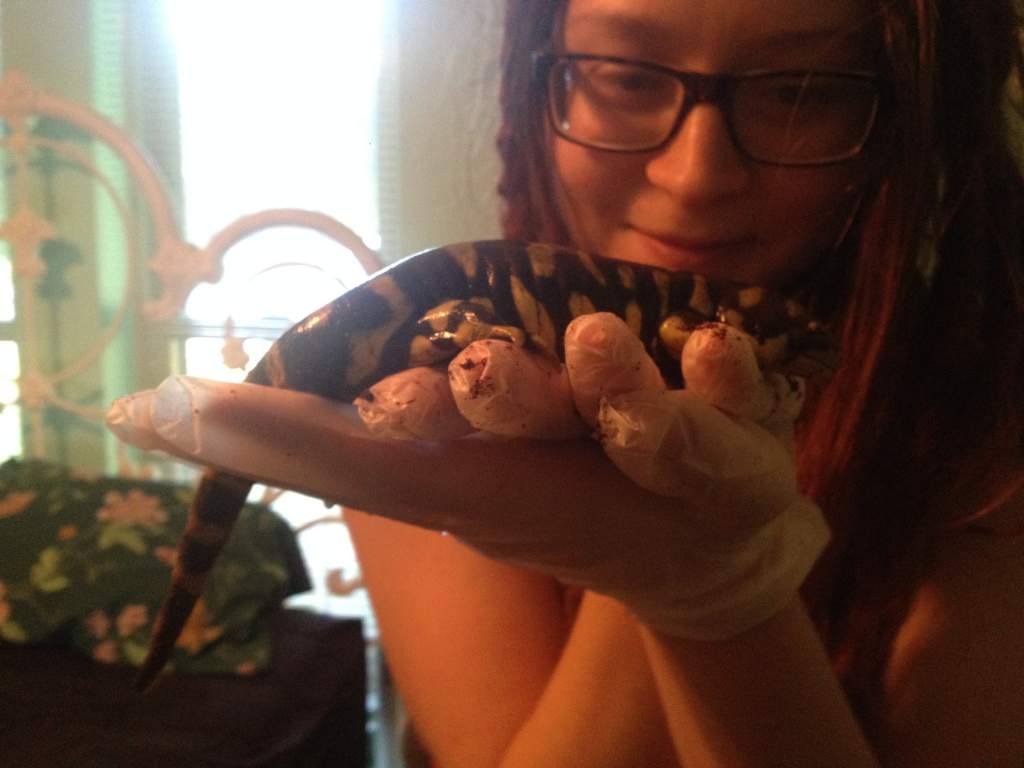 Charmander!