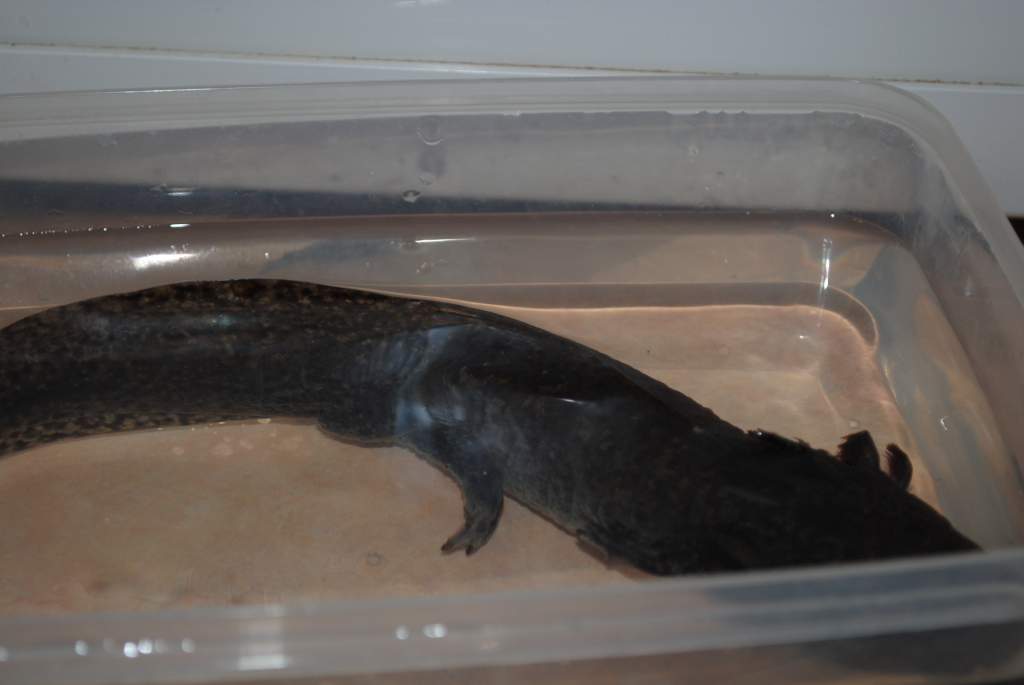 Chilling out