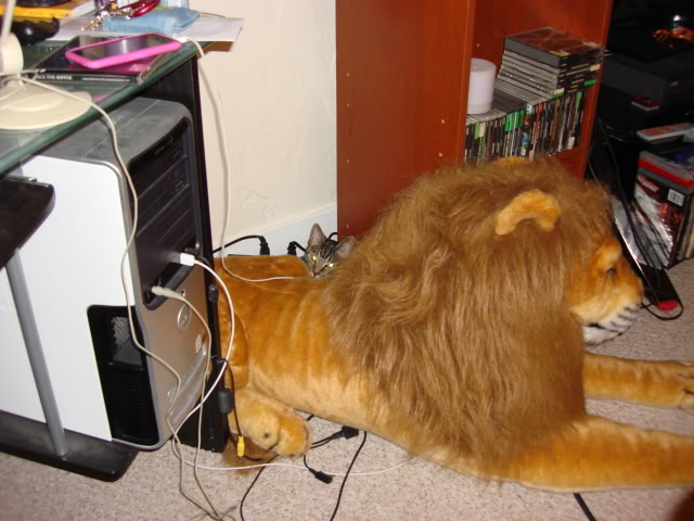 Chloe and lion