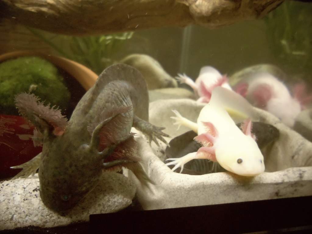 chow time :P
