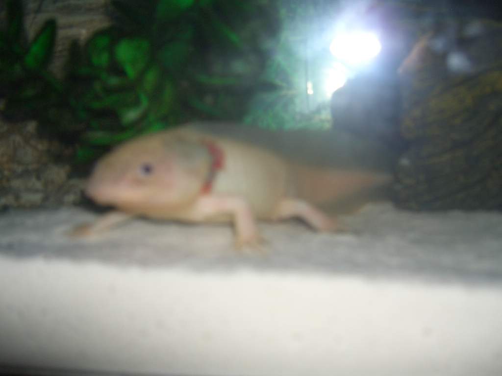 CIMG1557