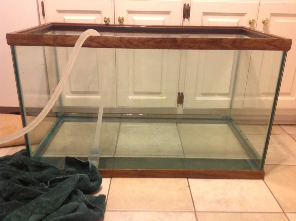 Cleaning up the new tank