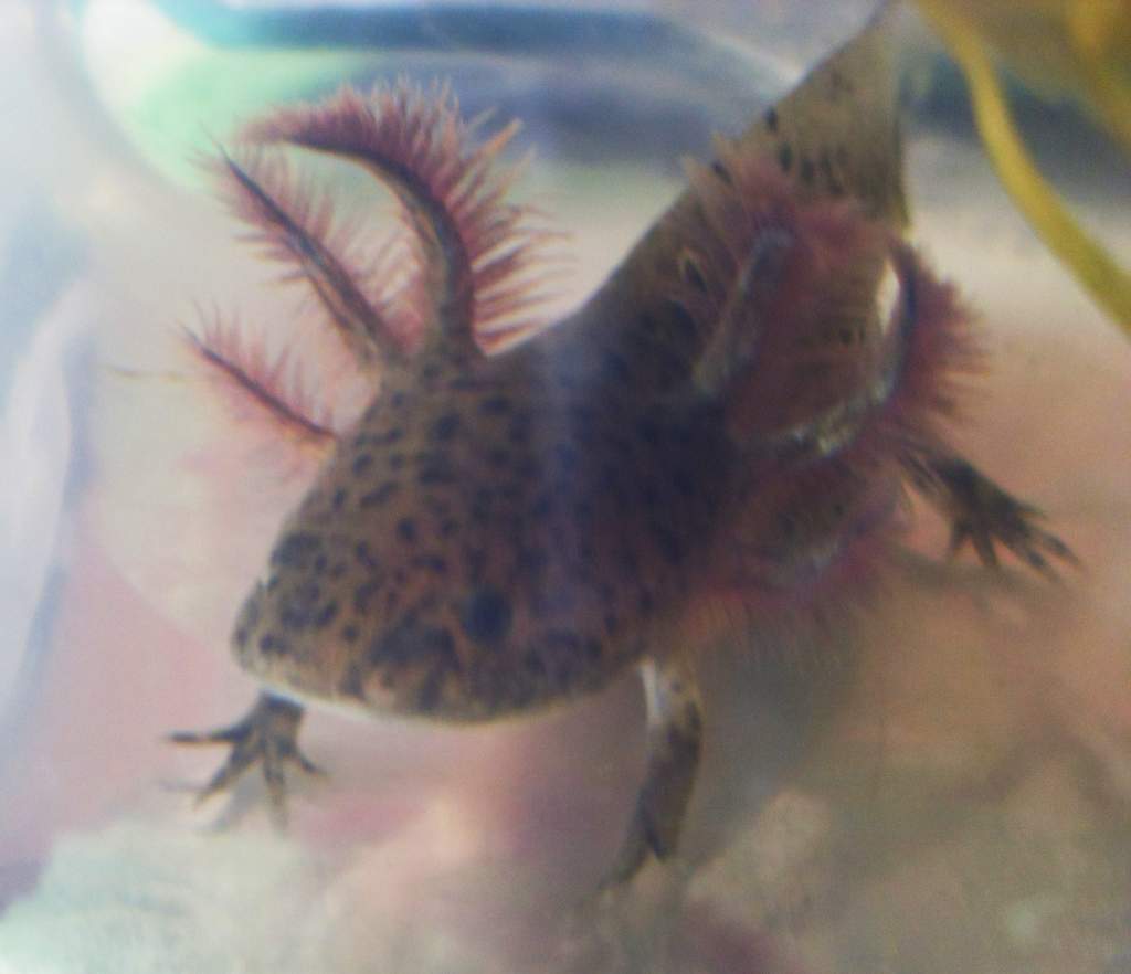 close up

(contrast slightly edited)