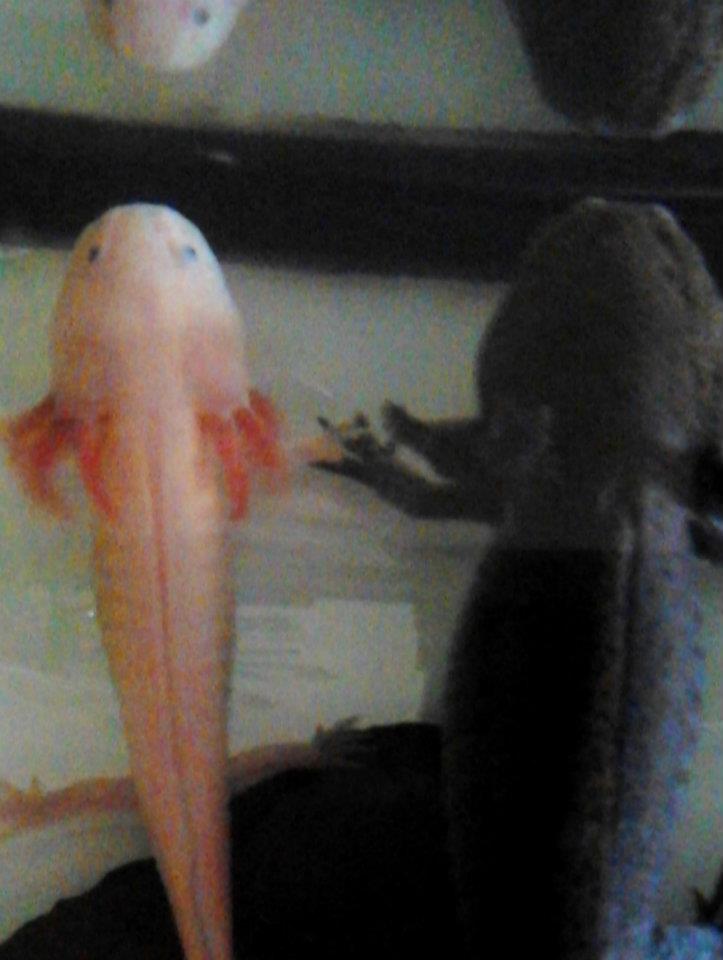 close up of the holding hands <3