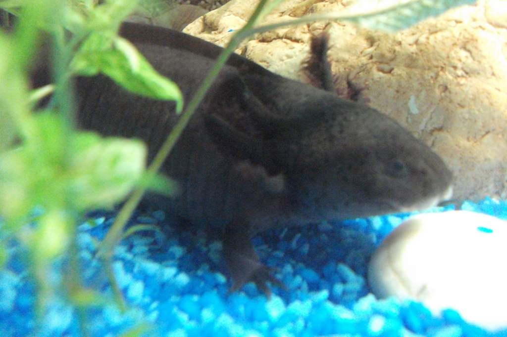 close-up of tyrone. also giving evils!