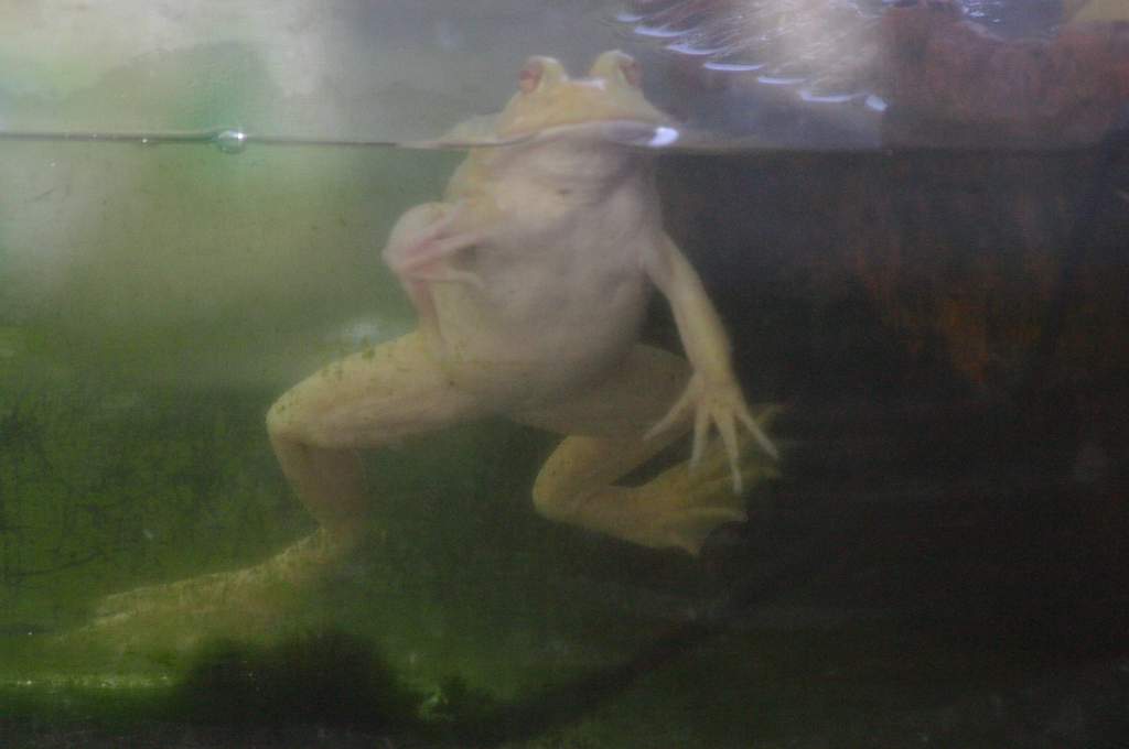 Close up of UpChuck