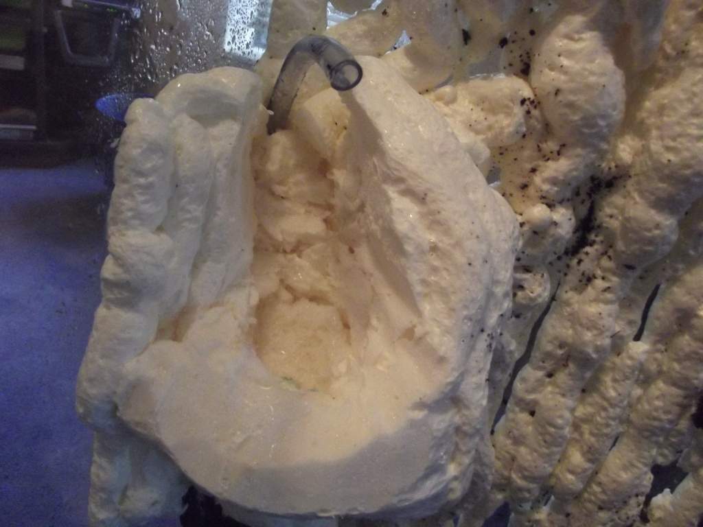 close up of water fall