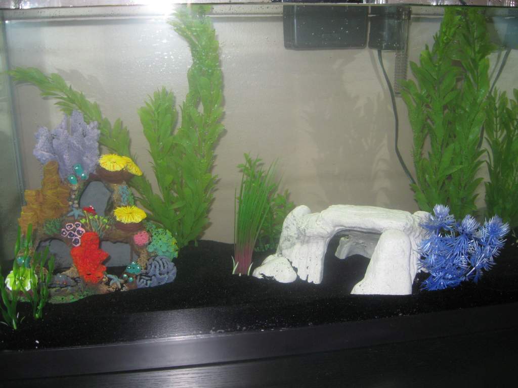Closeup of the caves and plants. What do you think?