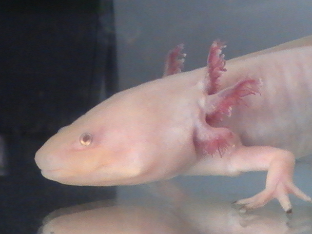 closeup on his face