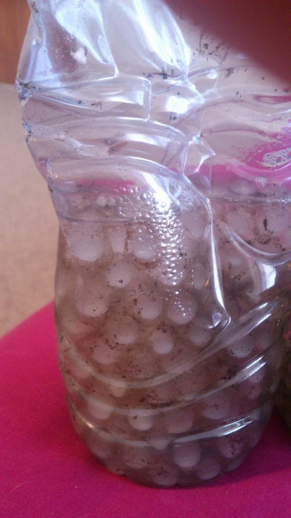 cloudy eggs...