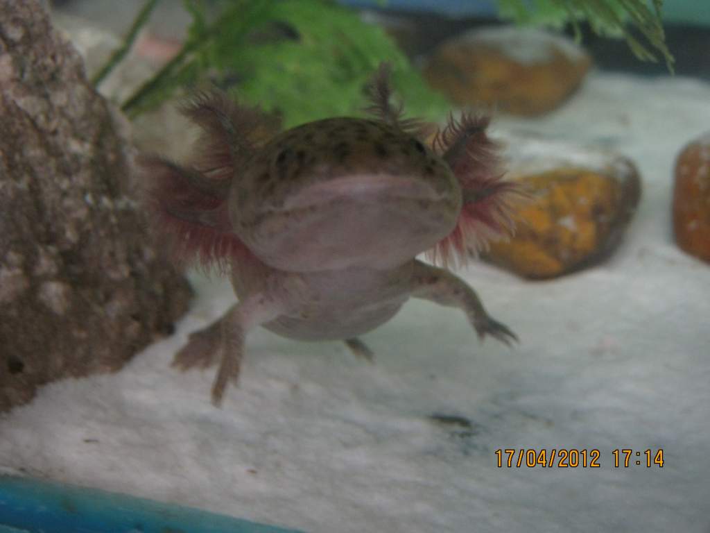 "Come on, stop taking pictures and get me some food"