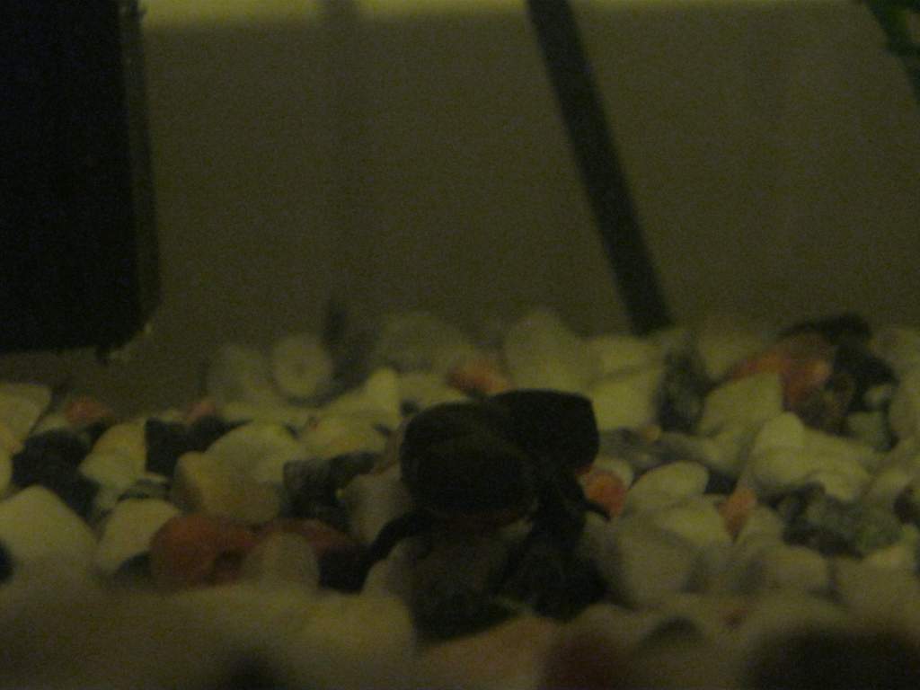 Coming to say hello!
