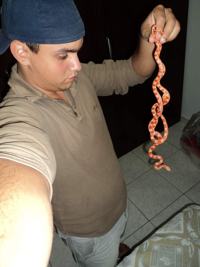 corns