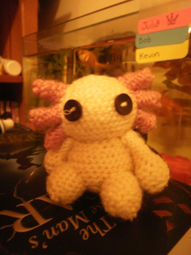 Crochet axi