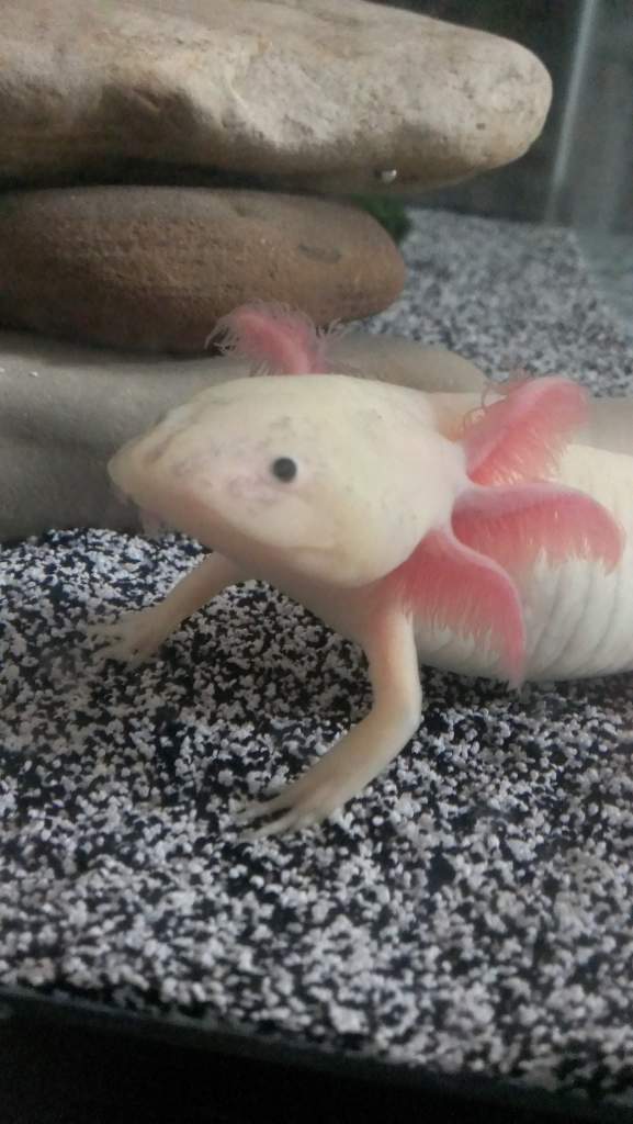 cute!