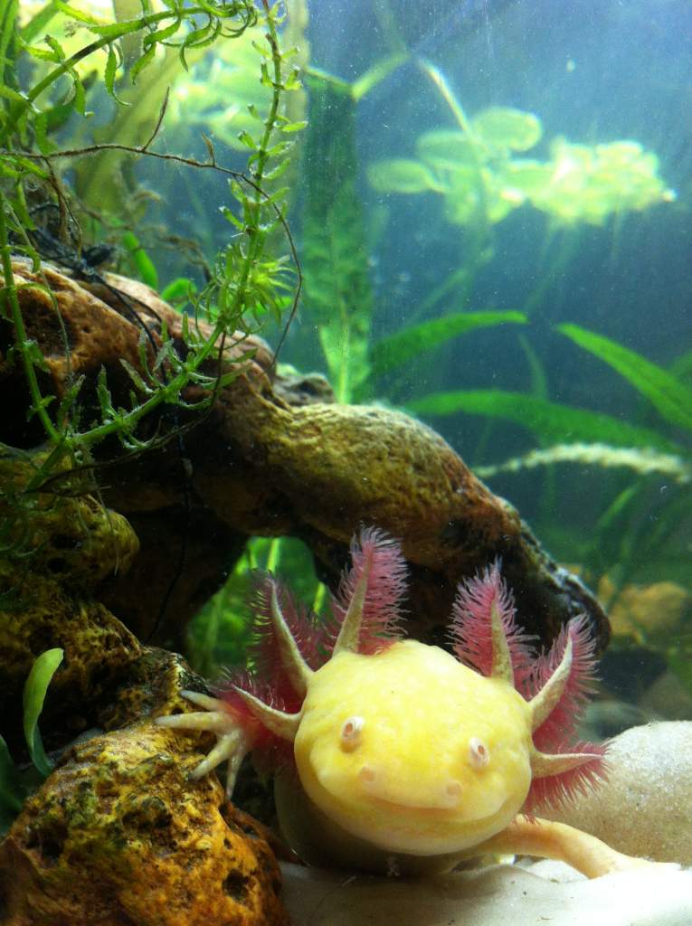 :D