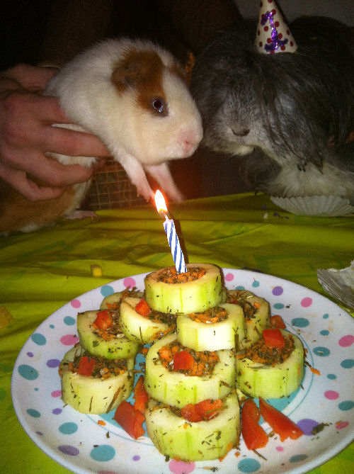 Dale's Birthday Party