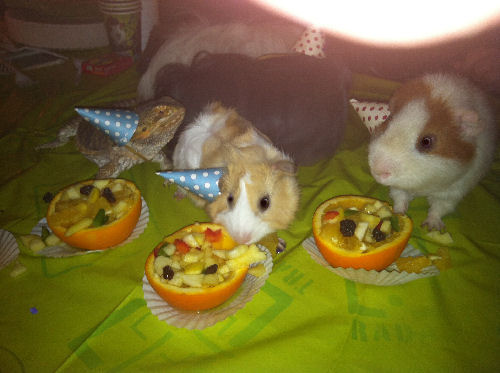 Dales Birthday Party