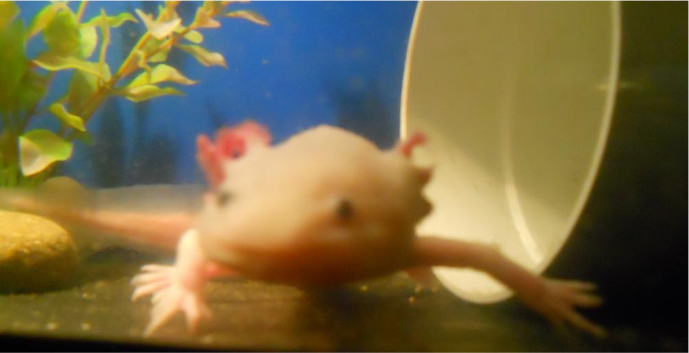 Dancing!!!