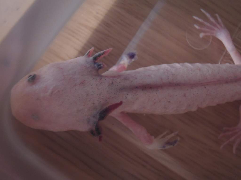 Day 4