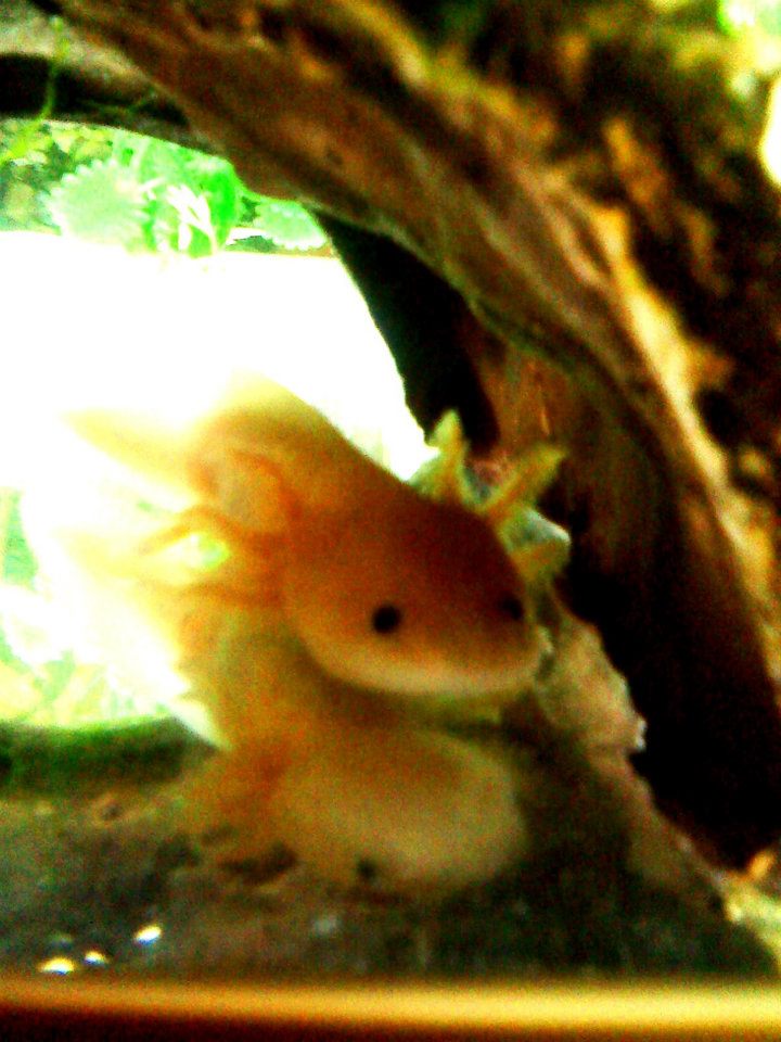 Deli when she was a baby :)