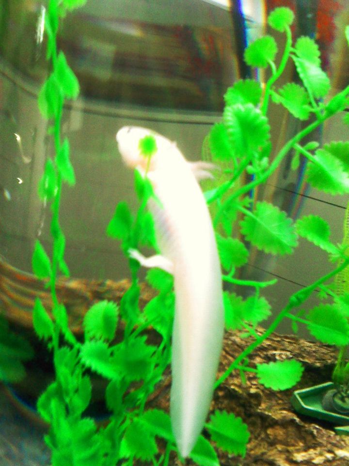 deli when she was a baby :)