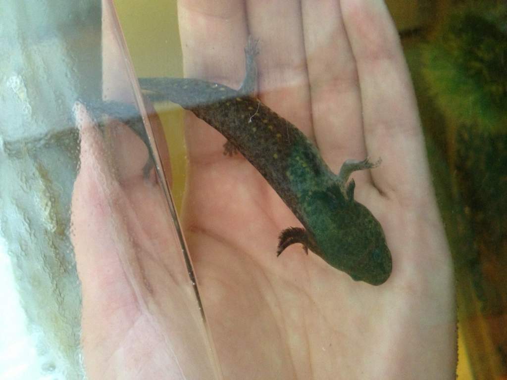 Desmond :)