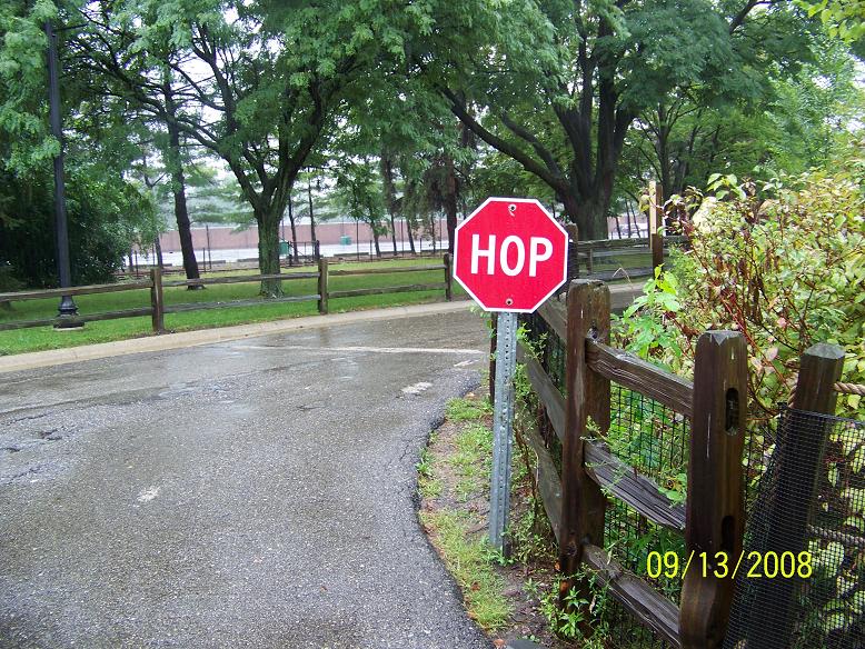 DetAmphSign3