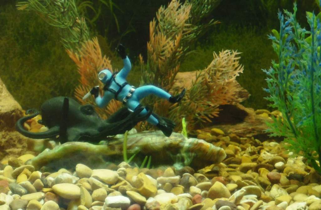 diver