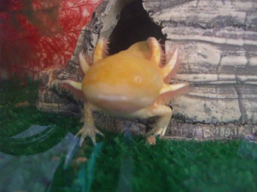 Djinn
01/03/11