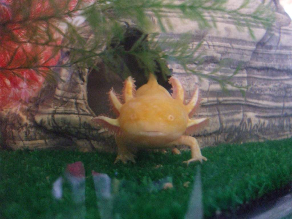 Djinn
01/03/11
